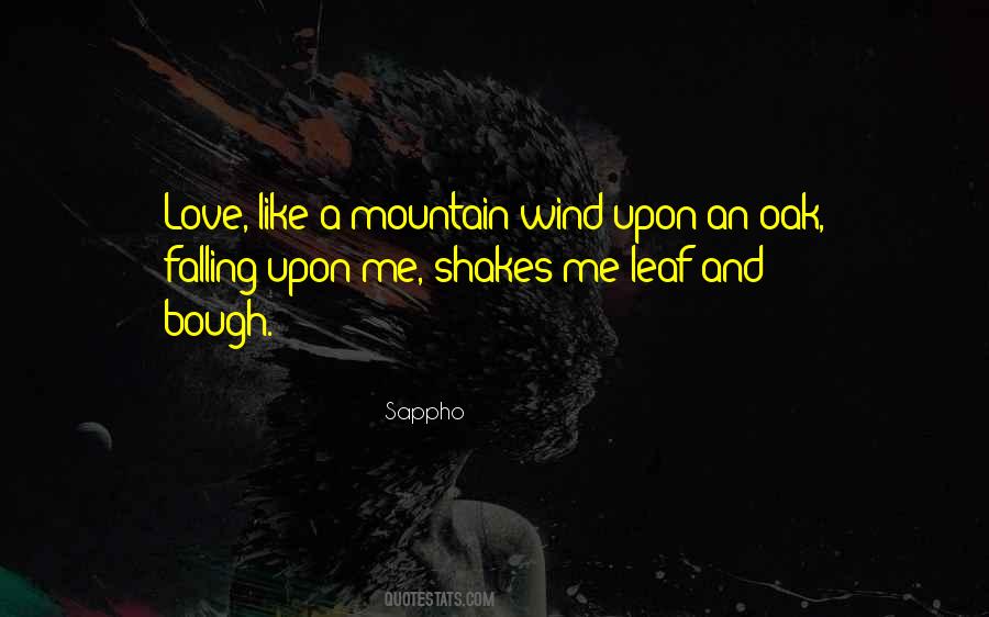 Love Mountain Quotes #587532