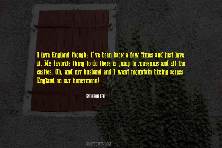 Love Mountain Quotes #830078