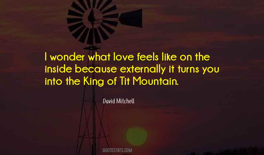 Love Mountain Quotes #969944