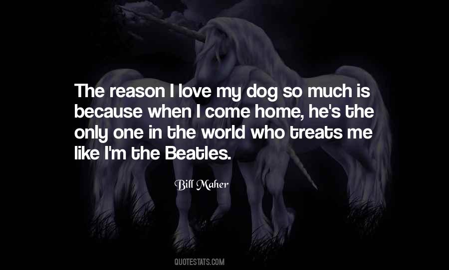 Love My Dog Quotes #833626
