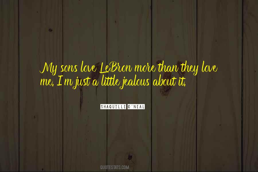 Love My Son Quotes #244076