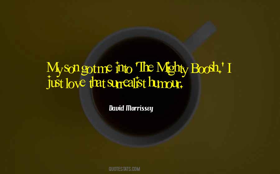 Love My Son Quotes #53534
