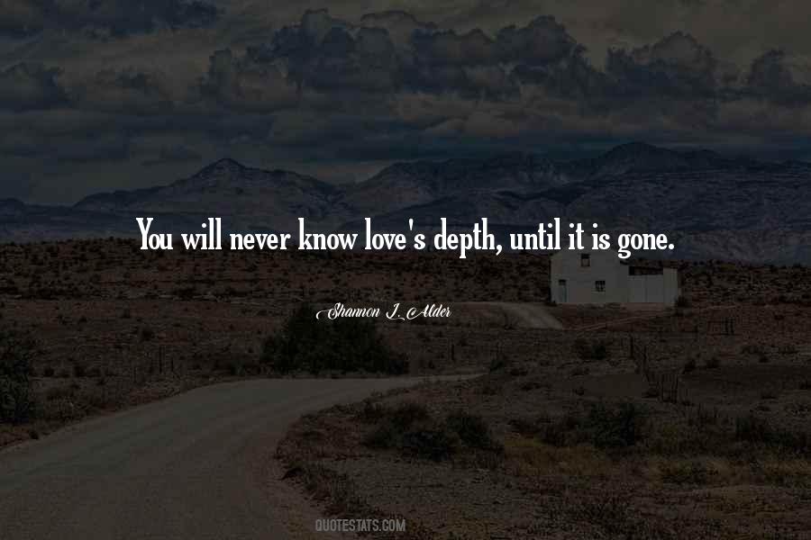 Love Never Gone Quotes #1227450