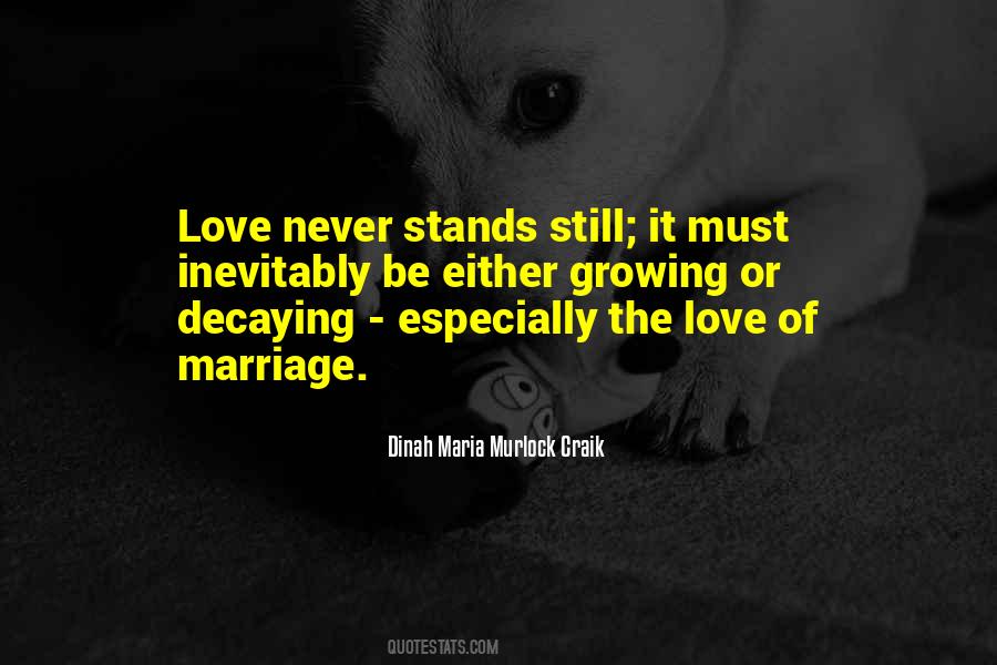 Love Never Quotes #1457957