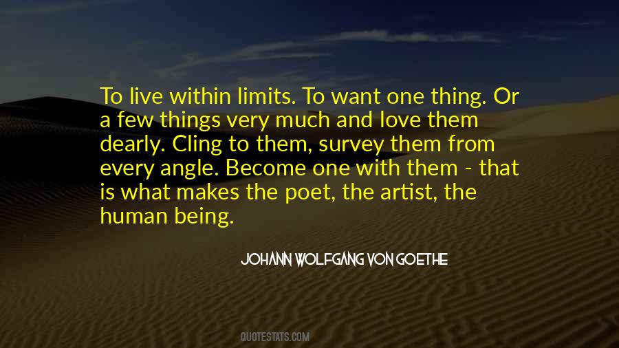 Love No Limits Quotes #220932