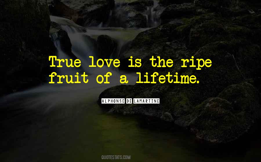 Love Of A Lifetime Quotes #1376287