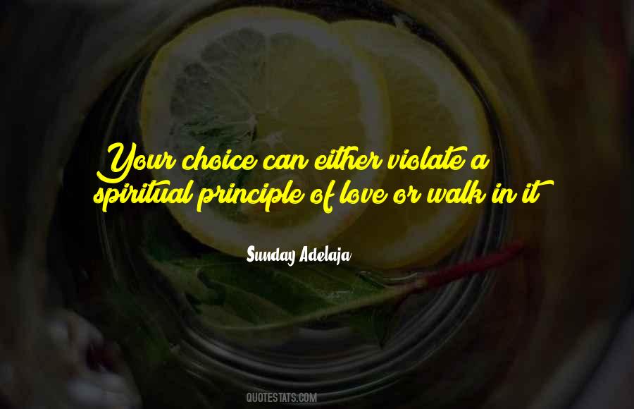 Love Principle Quotes #1566794