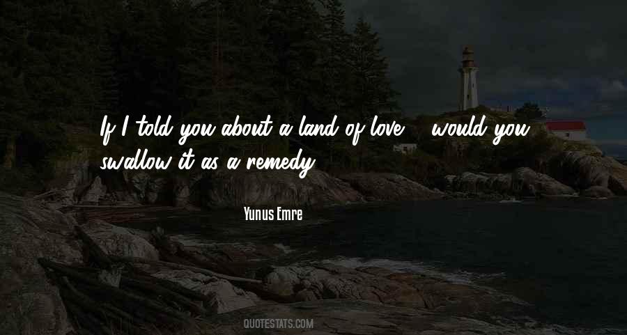 Love Remedy Quotes #144893