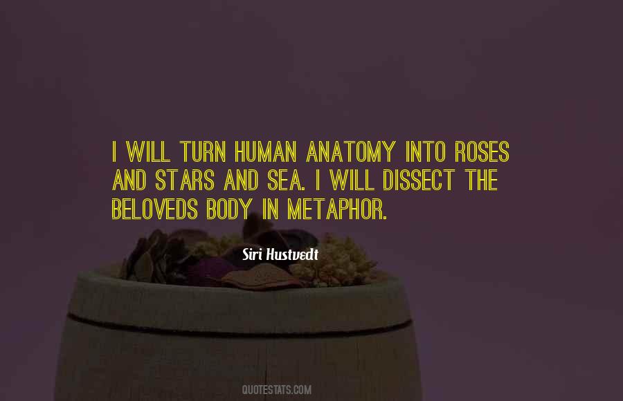 Love Roses Quotes #509899