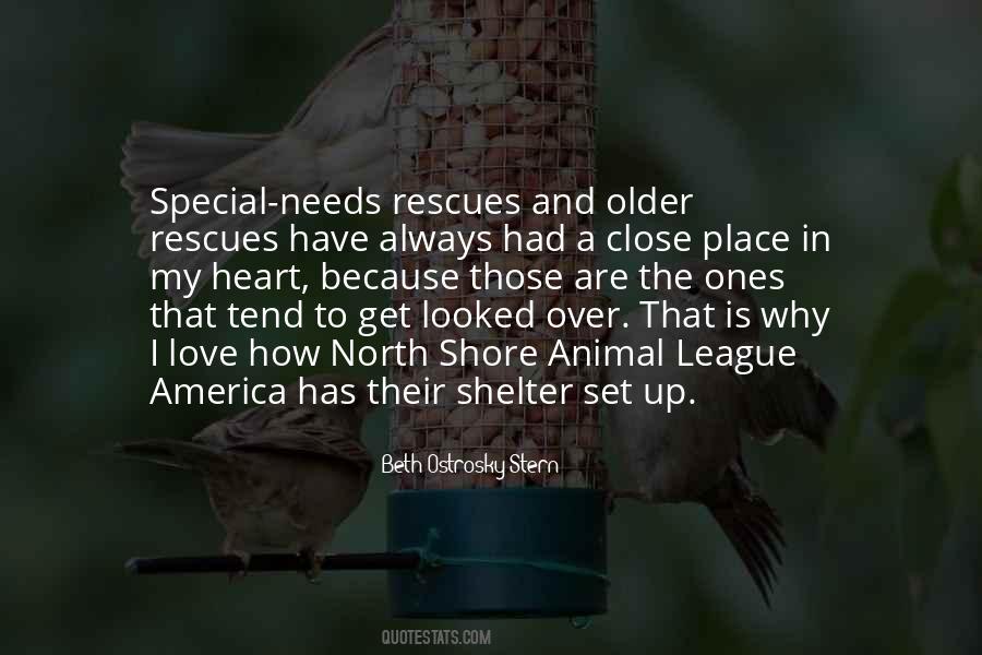 Love Shelter Quotes #109241