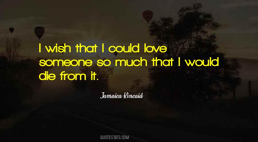 Love Someone So Much Quotes #436247