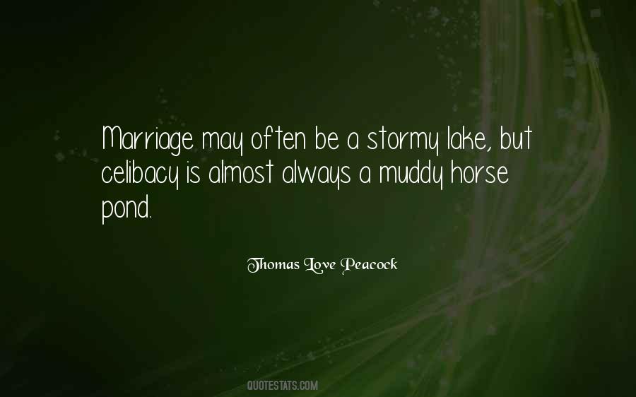 Love Stormy Quotes #41097