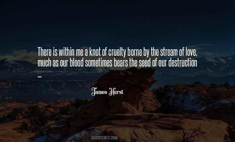 Love Stream Quotes #270779
