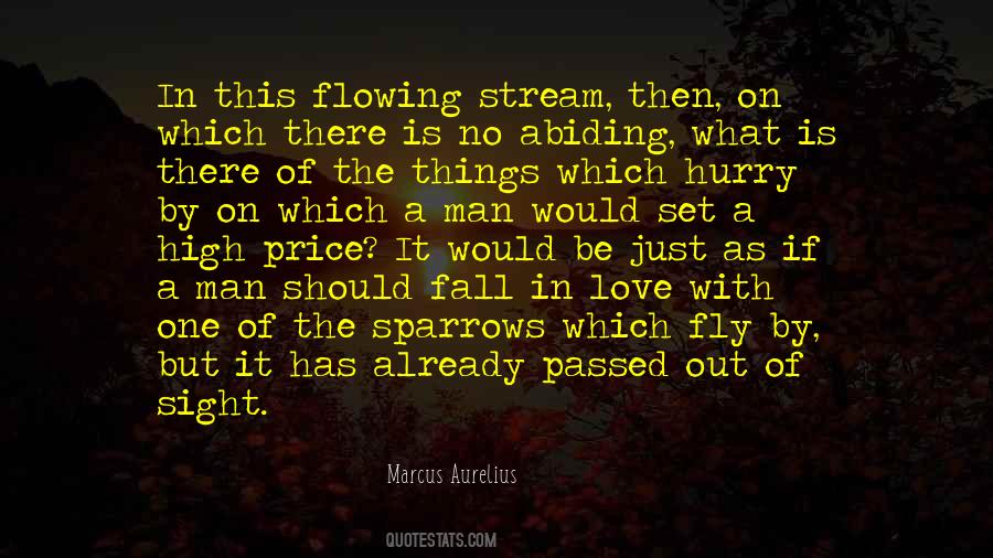 Love Stream Quotes #528668