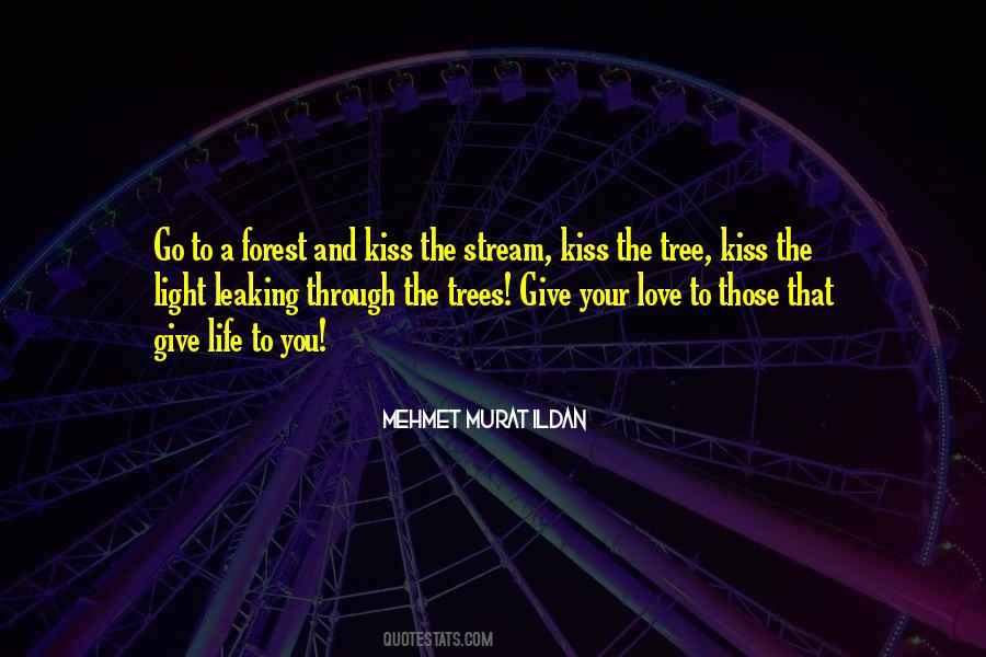 Love Stream Quotes #848598
