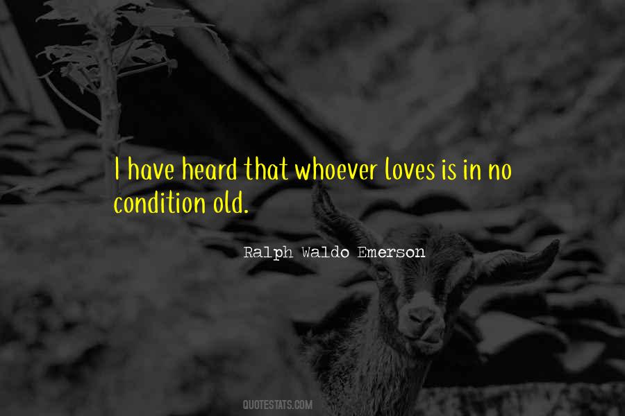 Love Without Condition Quotes #445813