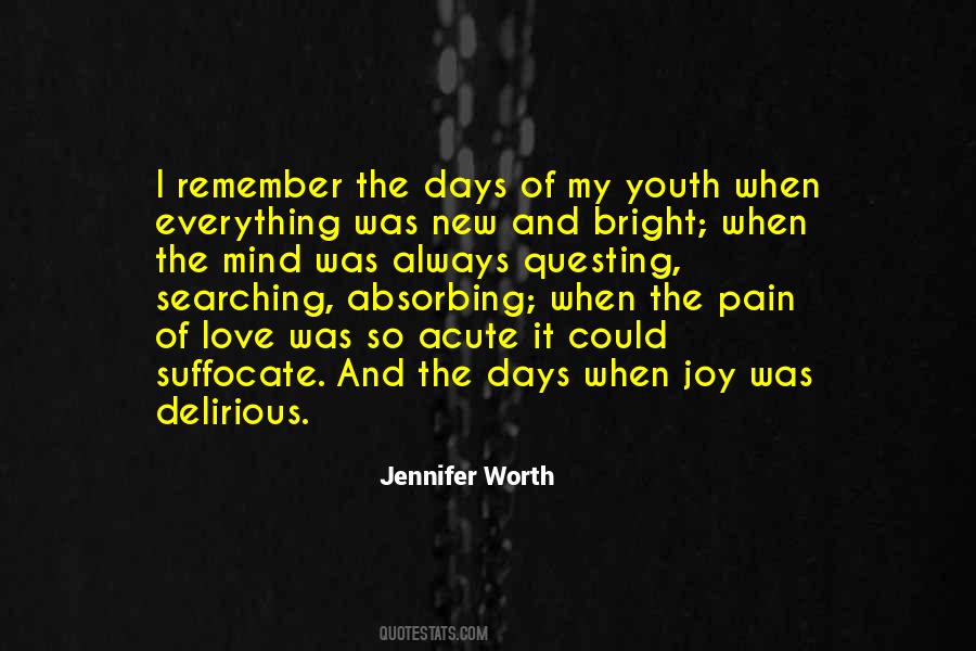 Love Worth The Pain Quotes #757282