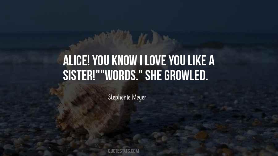Love You Like A Sister Quotes #1228251