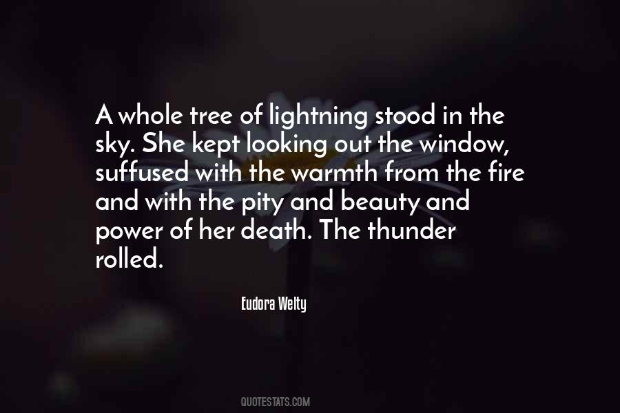 Quotes About Death Beauty #737331