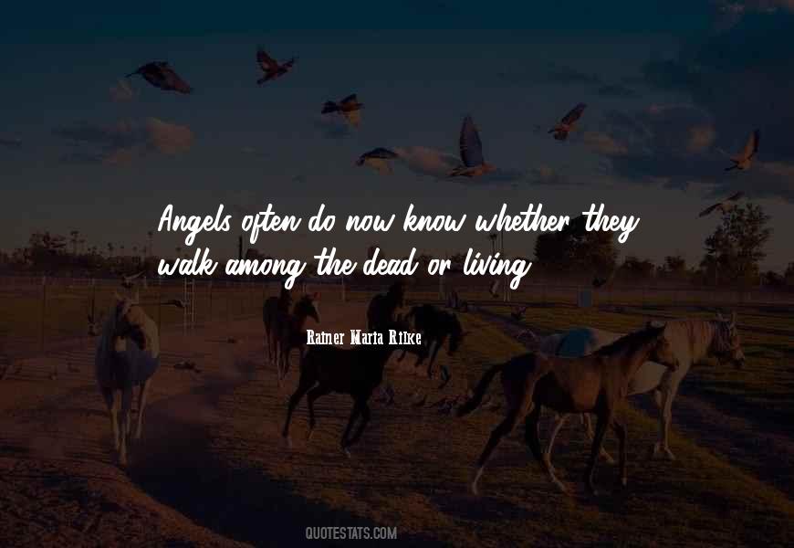 Quotes About Death Angels #628224