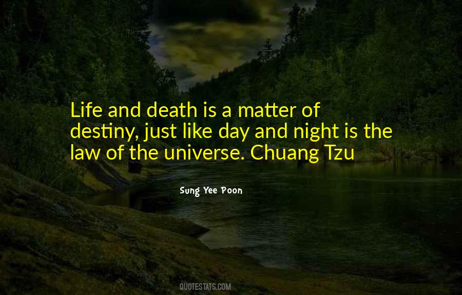 Quotes About Death And The Universe #1210707