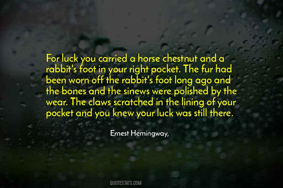 Luck You Quotes #1710176