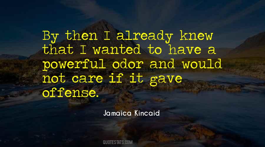 Lucy Jamaica Kincaid Quotes #1700295