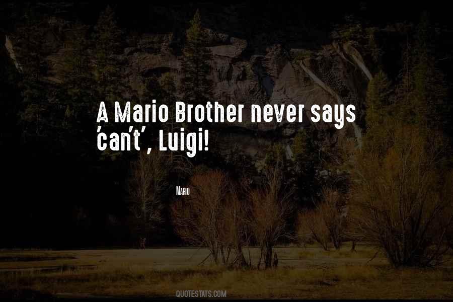 Luigi Quotes #1780814