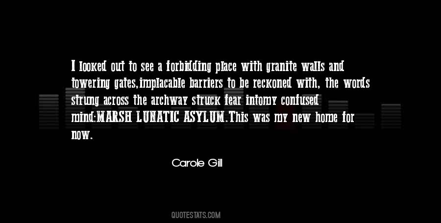 Lunatic Asylum Quotes #156736