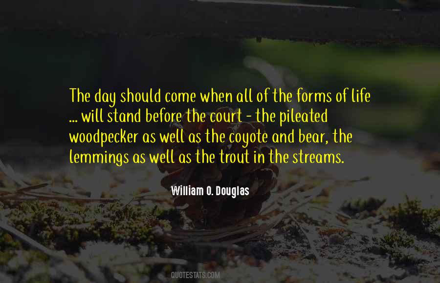 Quotes About Day In Court #782778