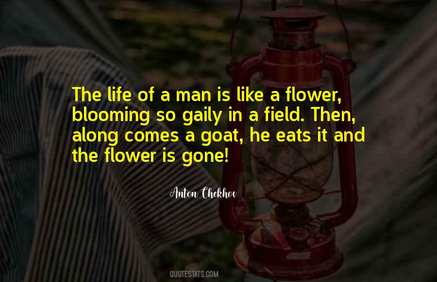Lusus Naturae Quotes #731060