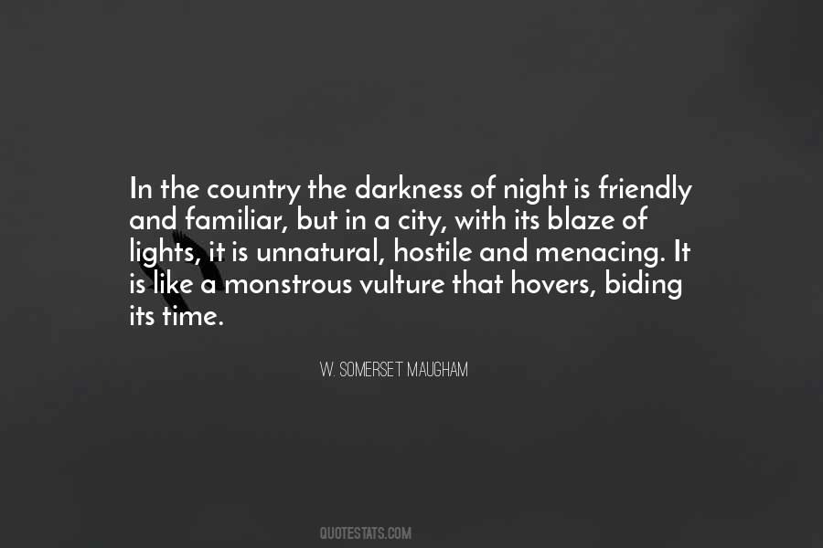 Quotes About Darkness And Night #78893