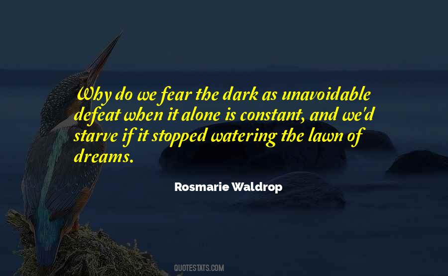 Quotes About Dark Dreams #139326