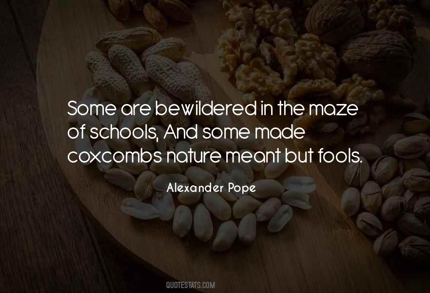 Made A Fool Out Of Myself Quotes #272305