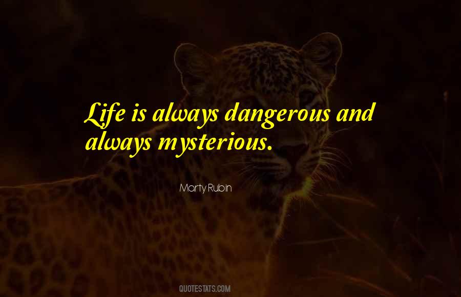 Quotes About Dangerous Life #341906