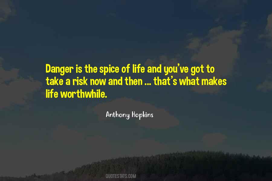 Quotes About Danger And Risk #514050