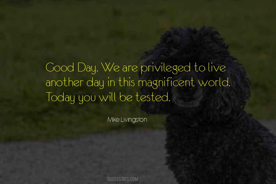 Magnificent Day Quotes #251350