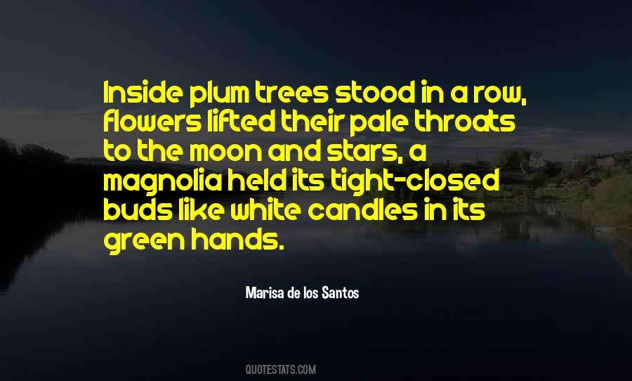 Magnolia Quotes #1194327