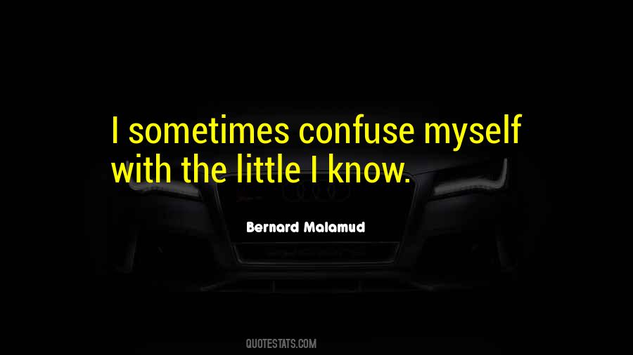 Malamud Quotes #1471544