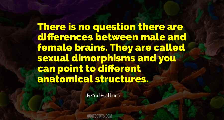 Male And Female Brain Quotes #1775359