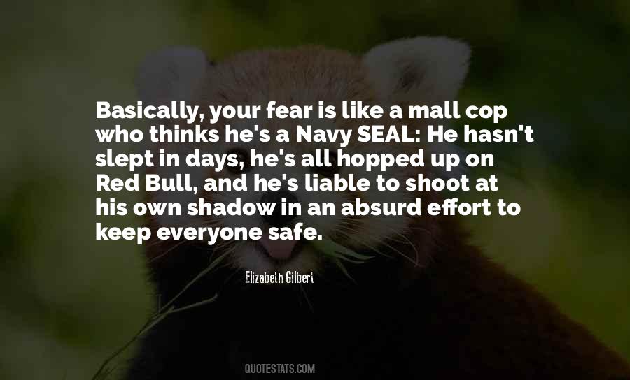 Mall Cop Quotes #1766708