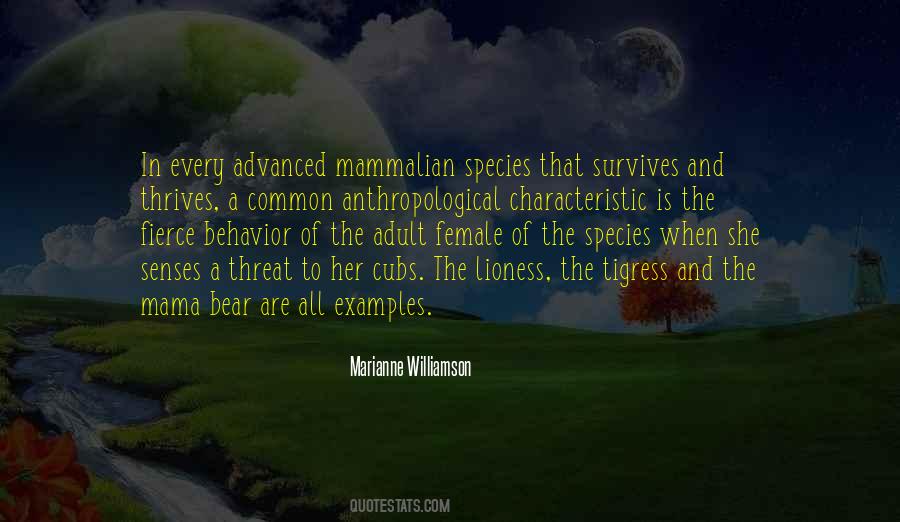 Mama Bear Quotes #1602679 Mama Bear Quotes #1602679