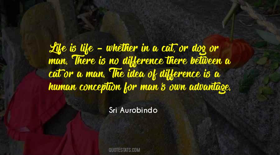 Man And His Cat Quotes #212957