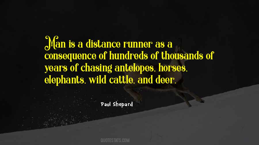 Man Horse Quotes #142536