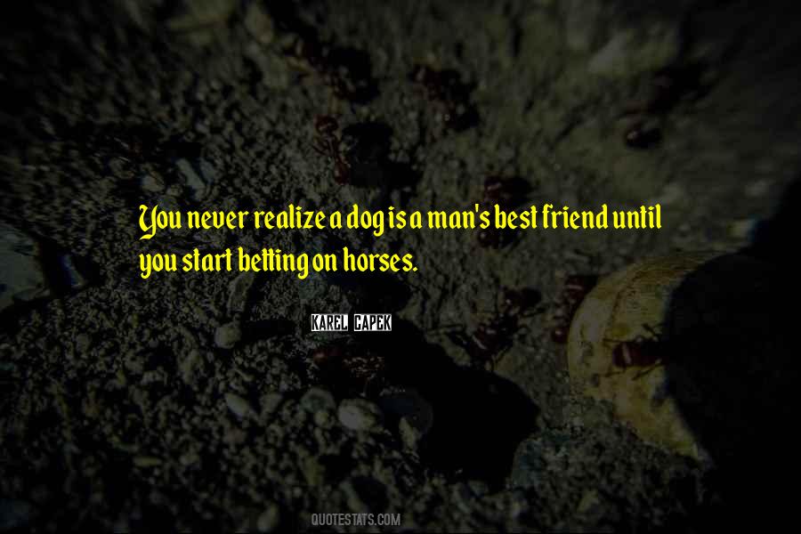 Man Horse Quotes #794136
