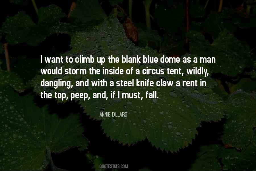 Man In Blue Quotes #505004