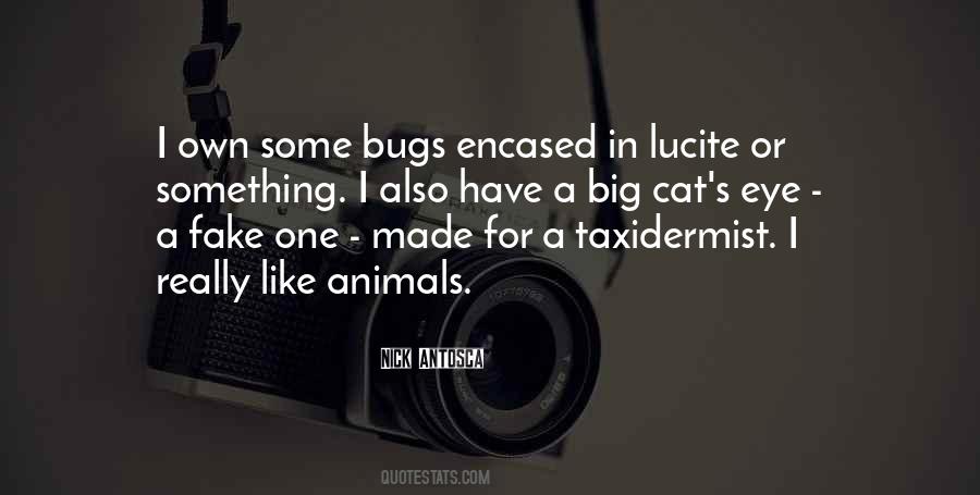 Quotes About Taxidermist #1098377