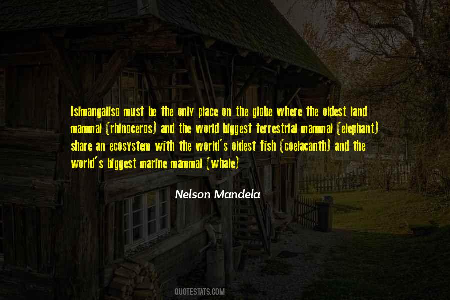 Mandela's Quotes #1047697