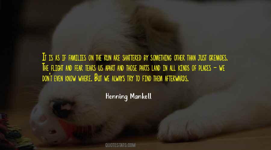 Mankell Quotes #881978