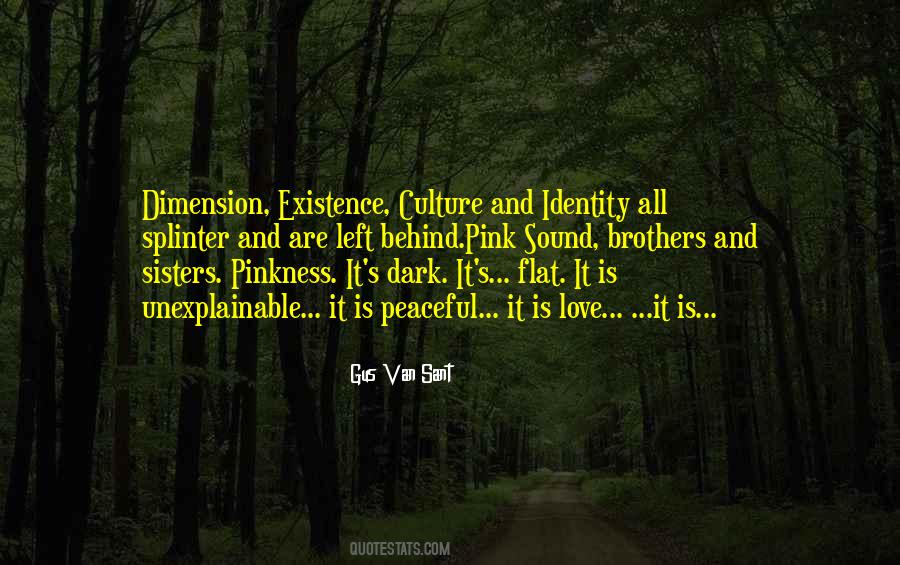 Quotes About Culture Identity #265077